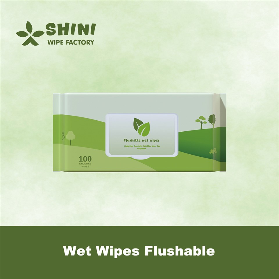 Wet Wipes Flushable